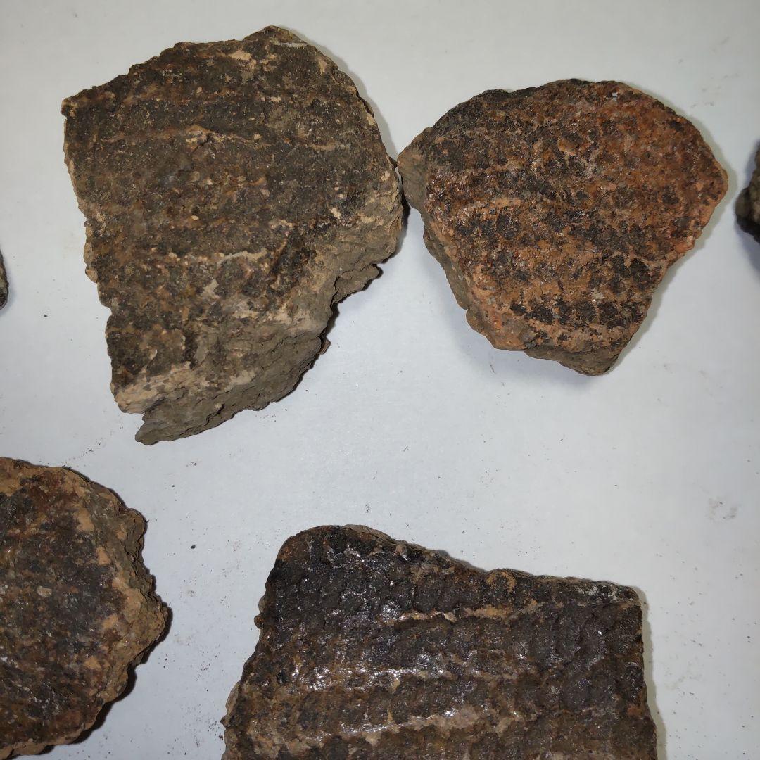 ★本物の縄文土器★(新潟県出土)①、15点