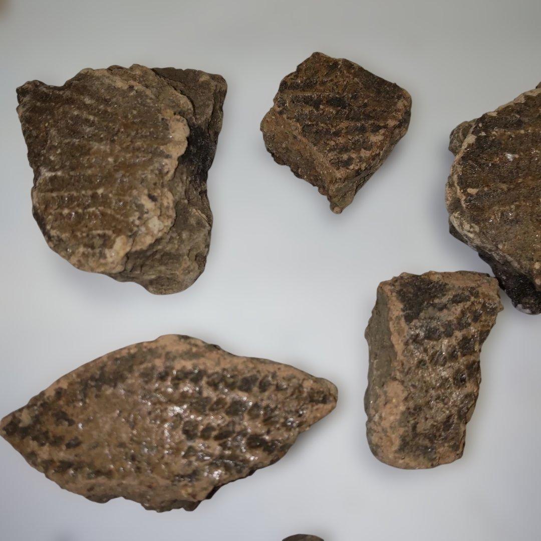 ★本物の縄文土器★(新潟県出土)①、15点