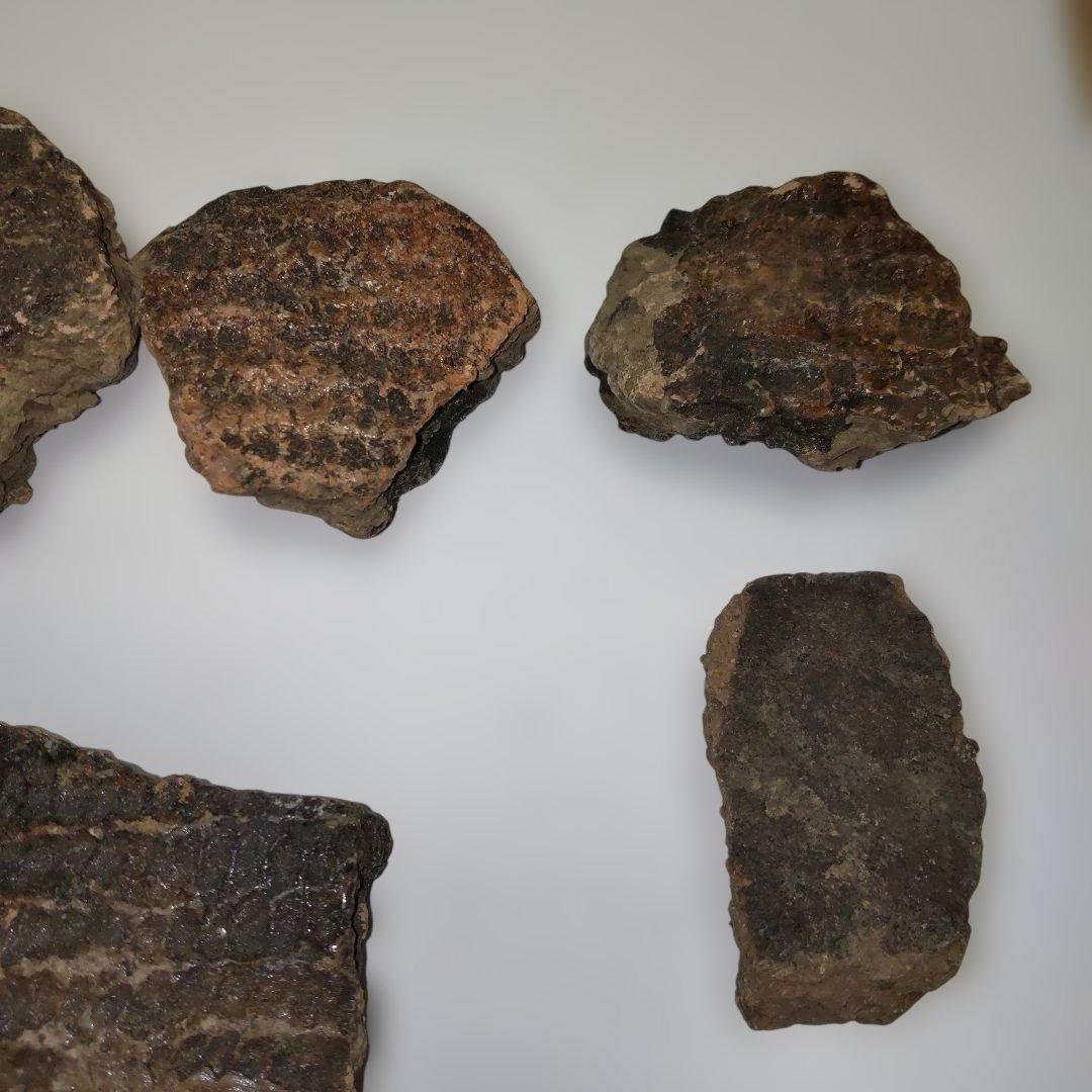 ★本物の縄文土器★(新潟県出土)①、15点