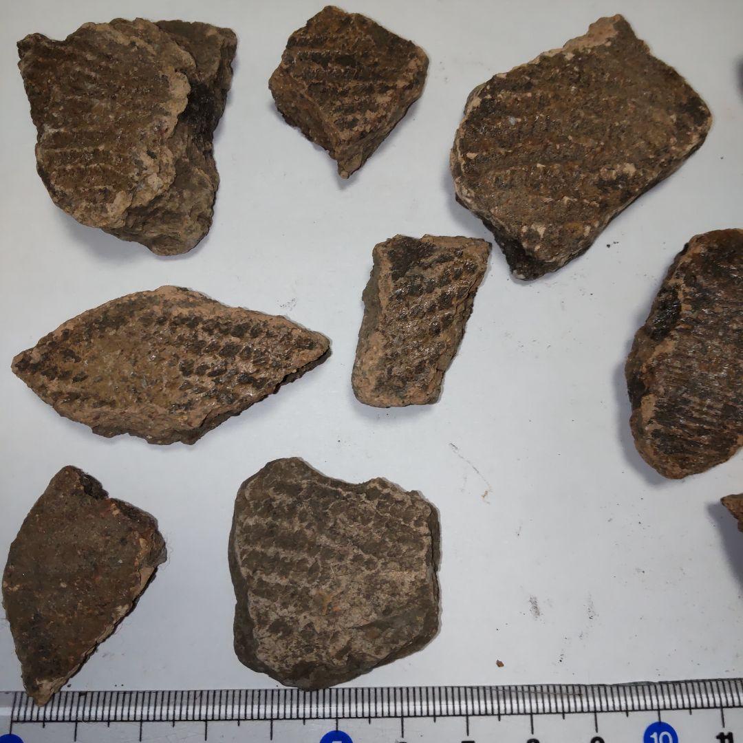 ★本物の縄文土器★(新潟県出土)①、15点