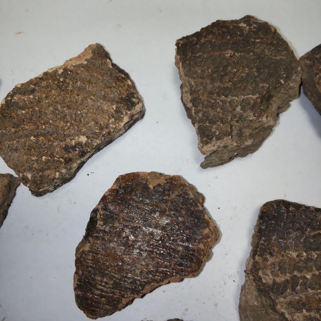 ★本物の縄文土器★(新潟県出土)①、15点