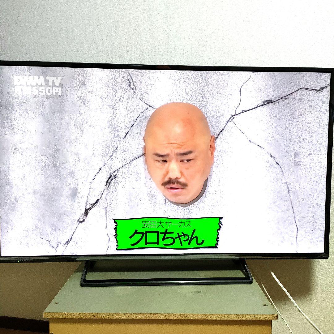 Panasonic[2016年製品]TH-49DX600