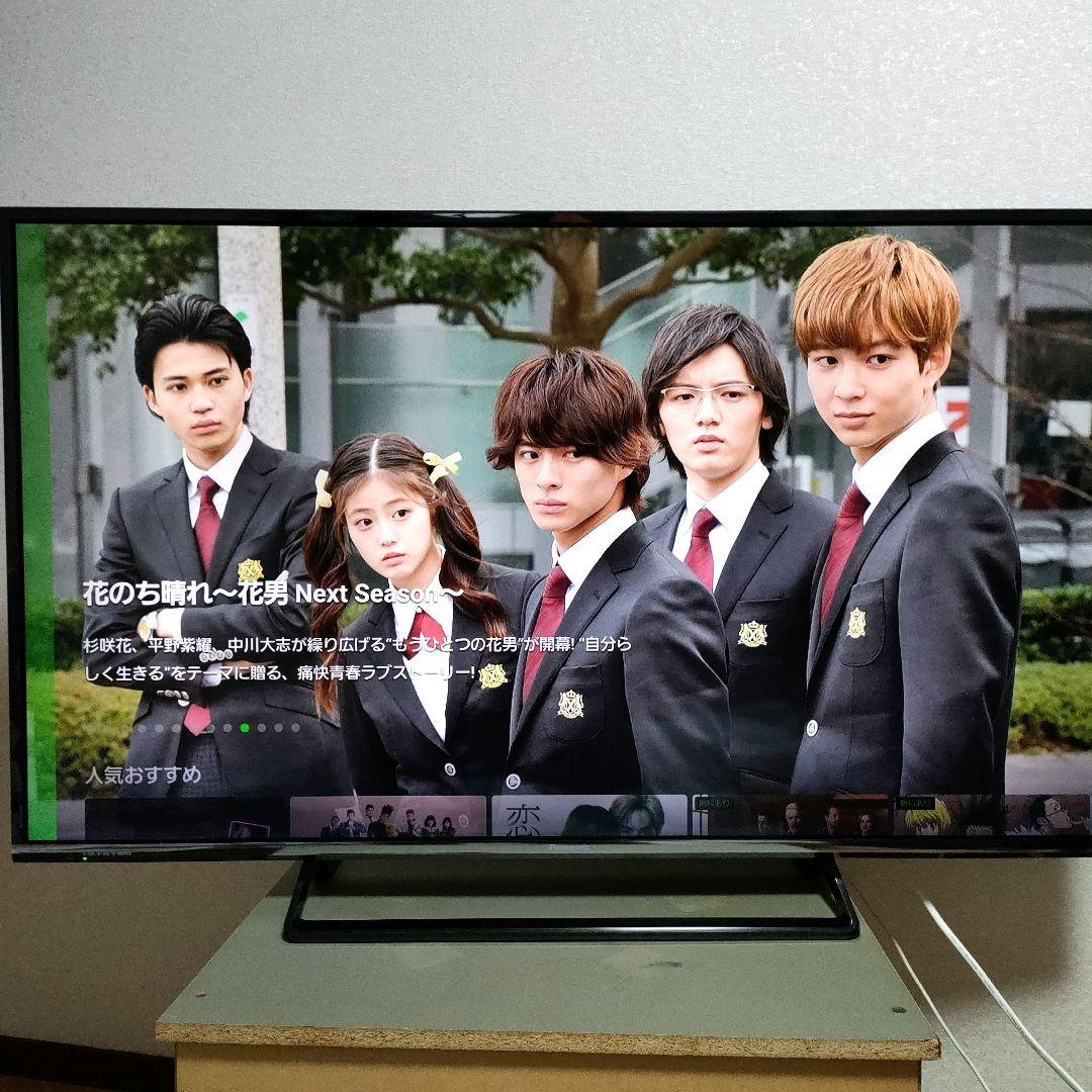 Panasonic[2016年製品]TH-49DX600