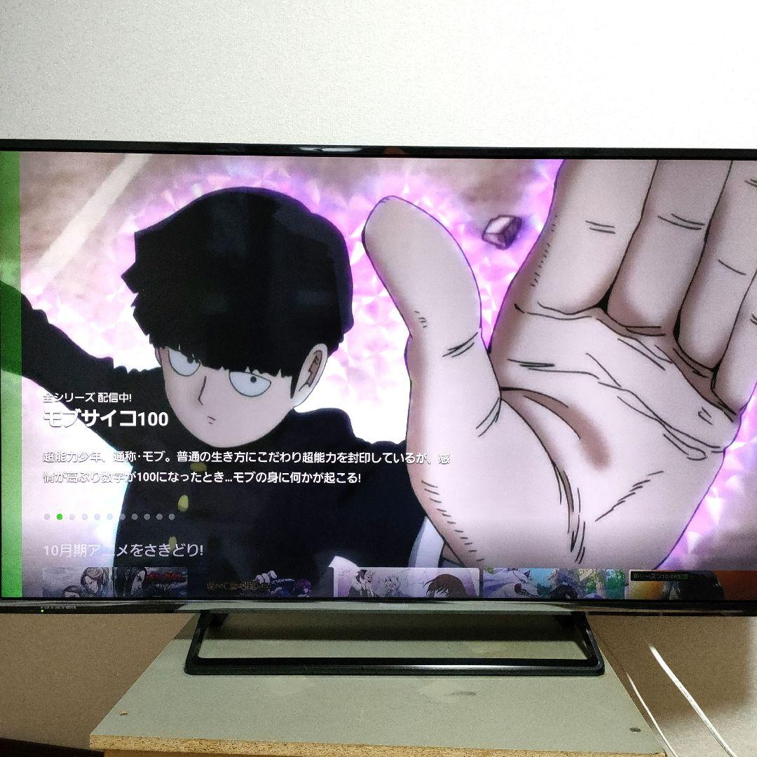 Panasonic[2016年製品]TH-49DX600