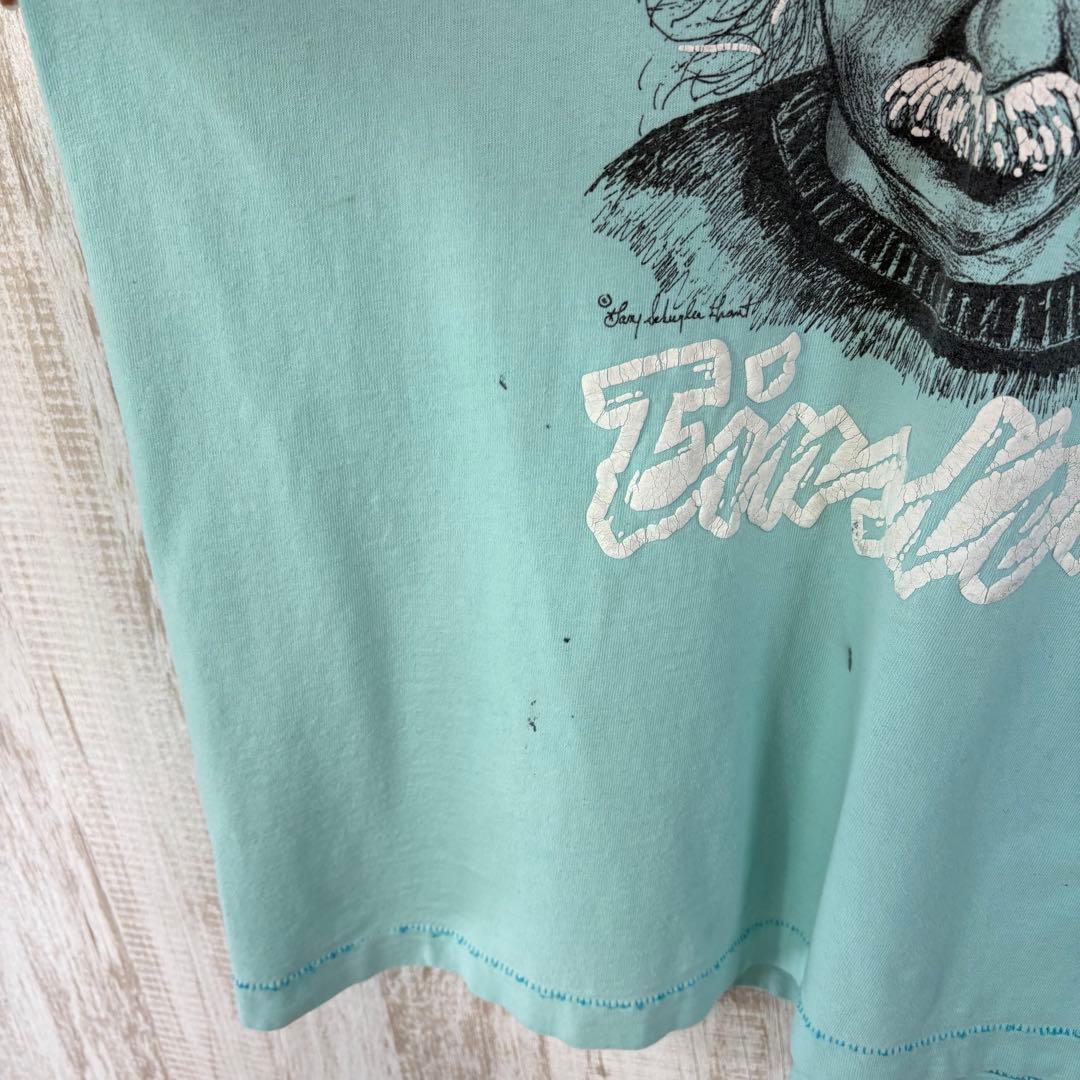 ヴィンテージ アインシュタイン レア 3Dプリント シングルステッチ Tシャツ