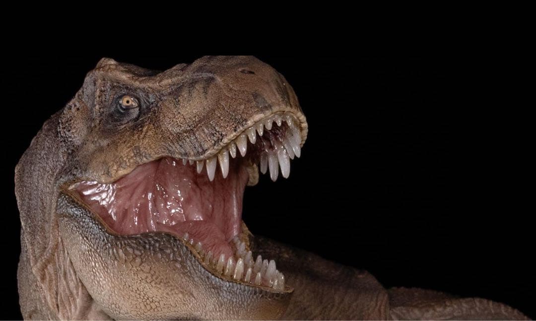 本心楠改　Nanmu ティラノサウルス　可動フィギュア