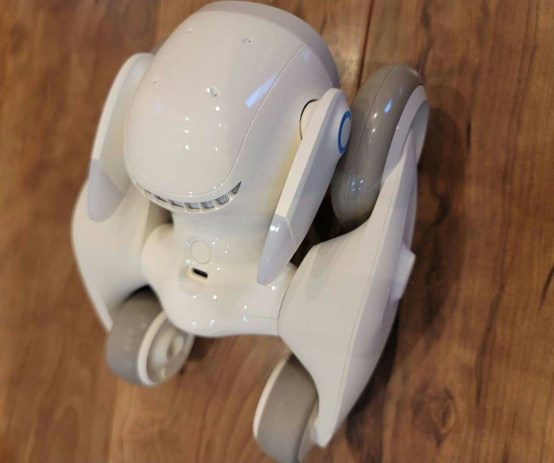 美品 AIロボット Loona Blue 2024年購入・動作確認済・付属品完備