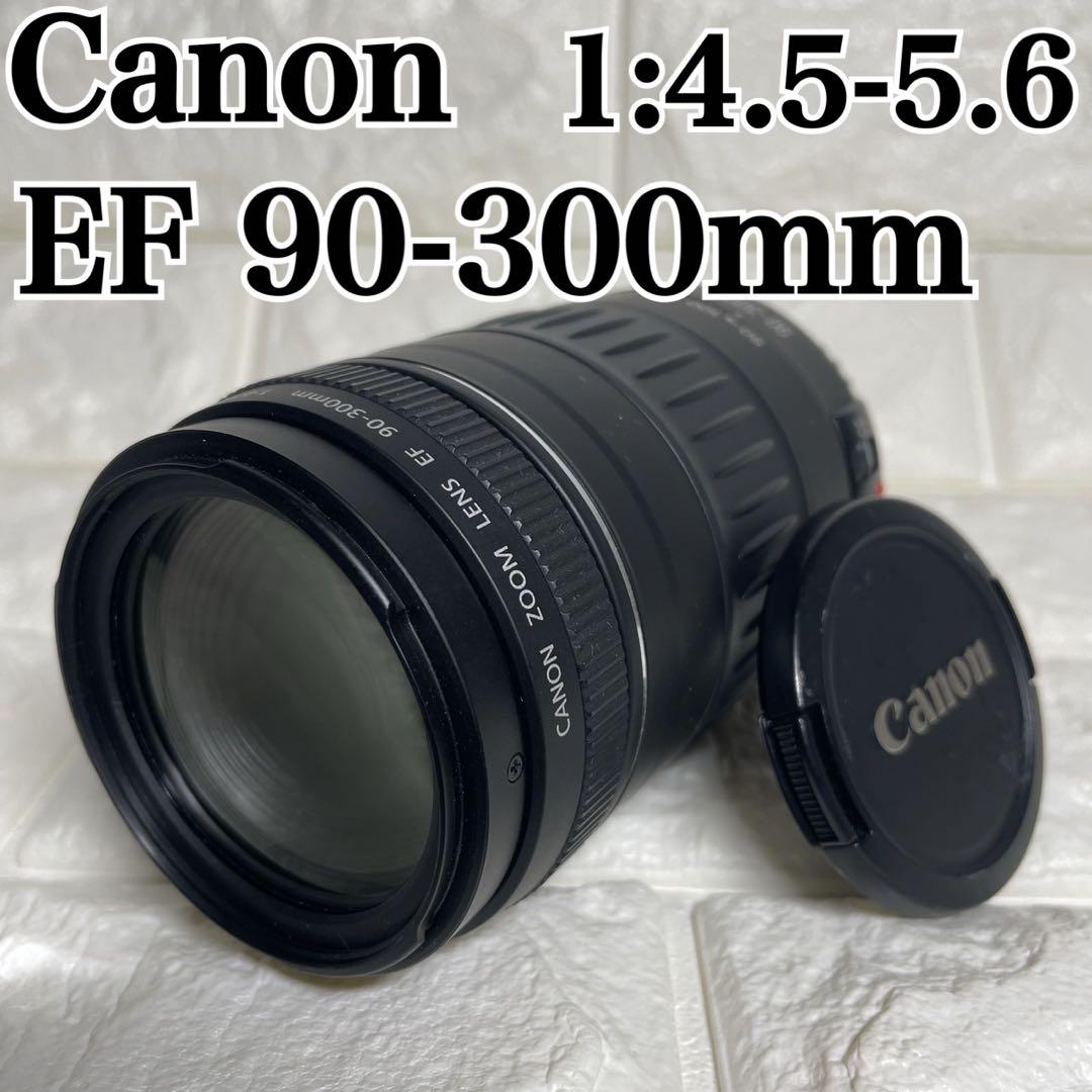 Canon EF 90-300㎜ 超望遠レンズ キャノン ズーム