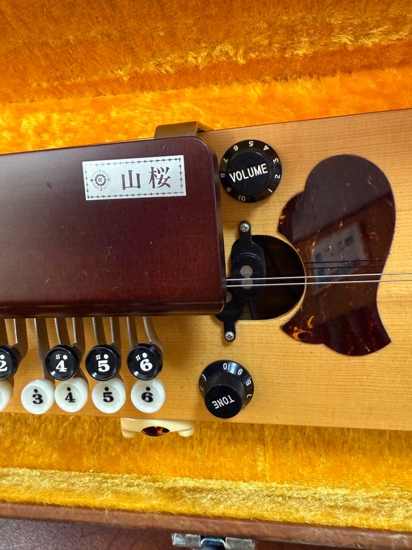 大正琴 ケース付き 13弦