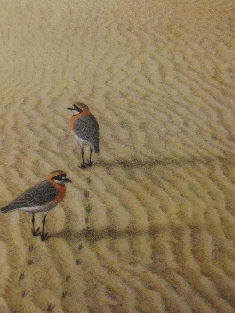 内藤五琅、【朝の砂】、希少な額装用画集より、新品額装付、状態良好