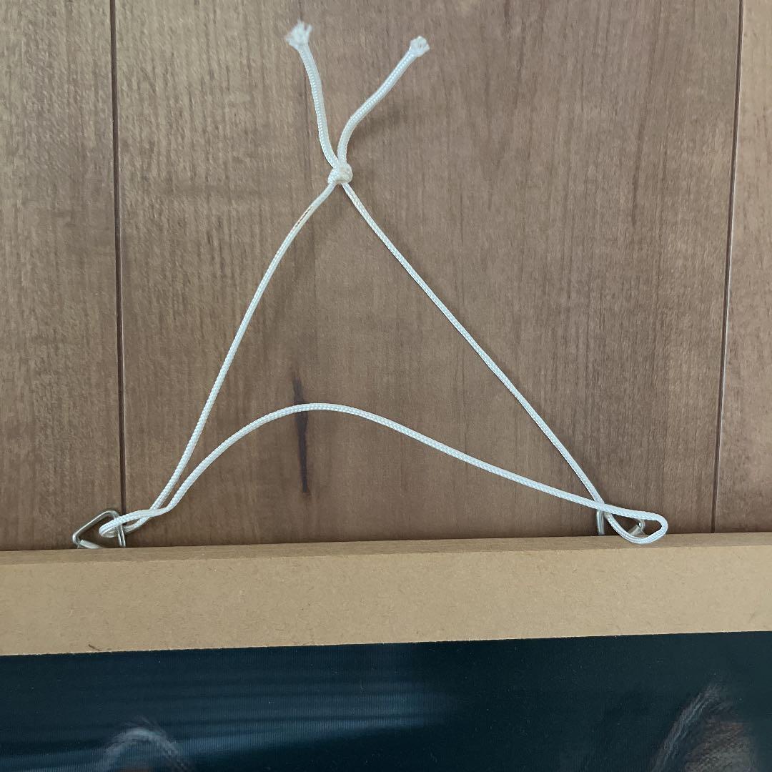 狼 レンチュラー 絵