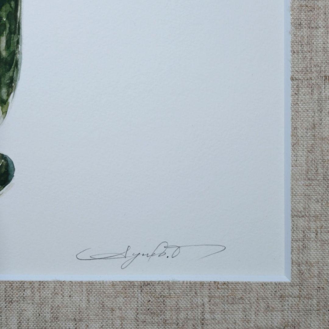 版画 額装品 柘植彩子 花の水彩画 ジクレー 限定 木製フレーム付 ボタニカル