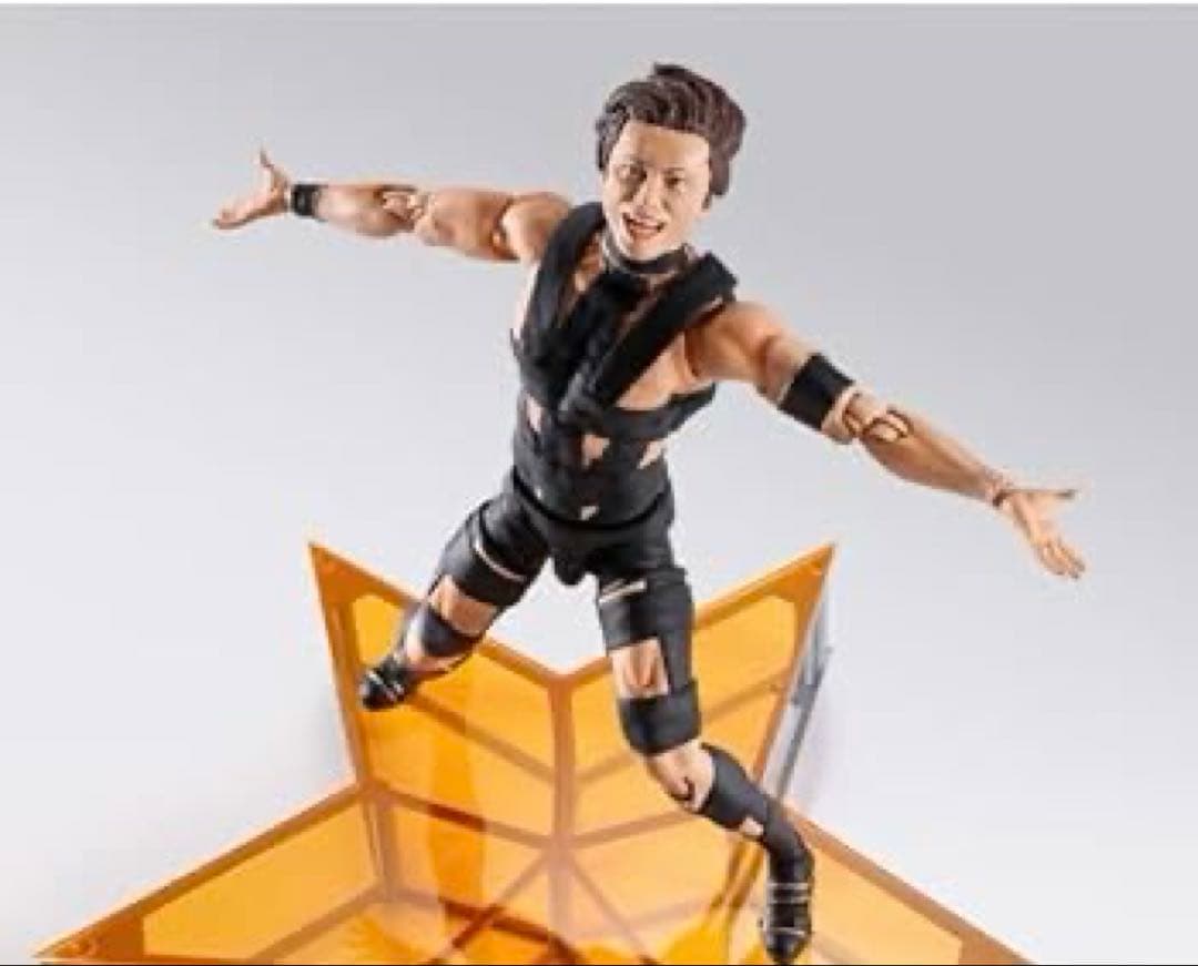 s.h.figuarts t.m.revolution 西川貴教