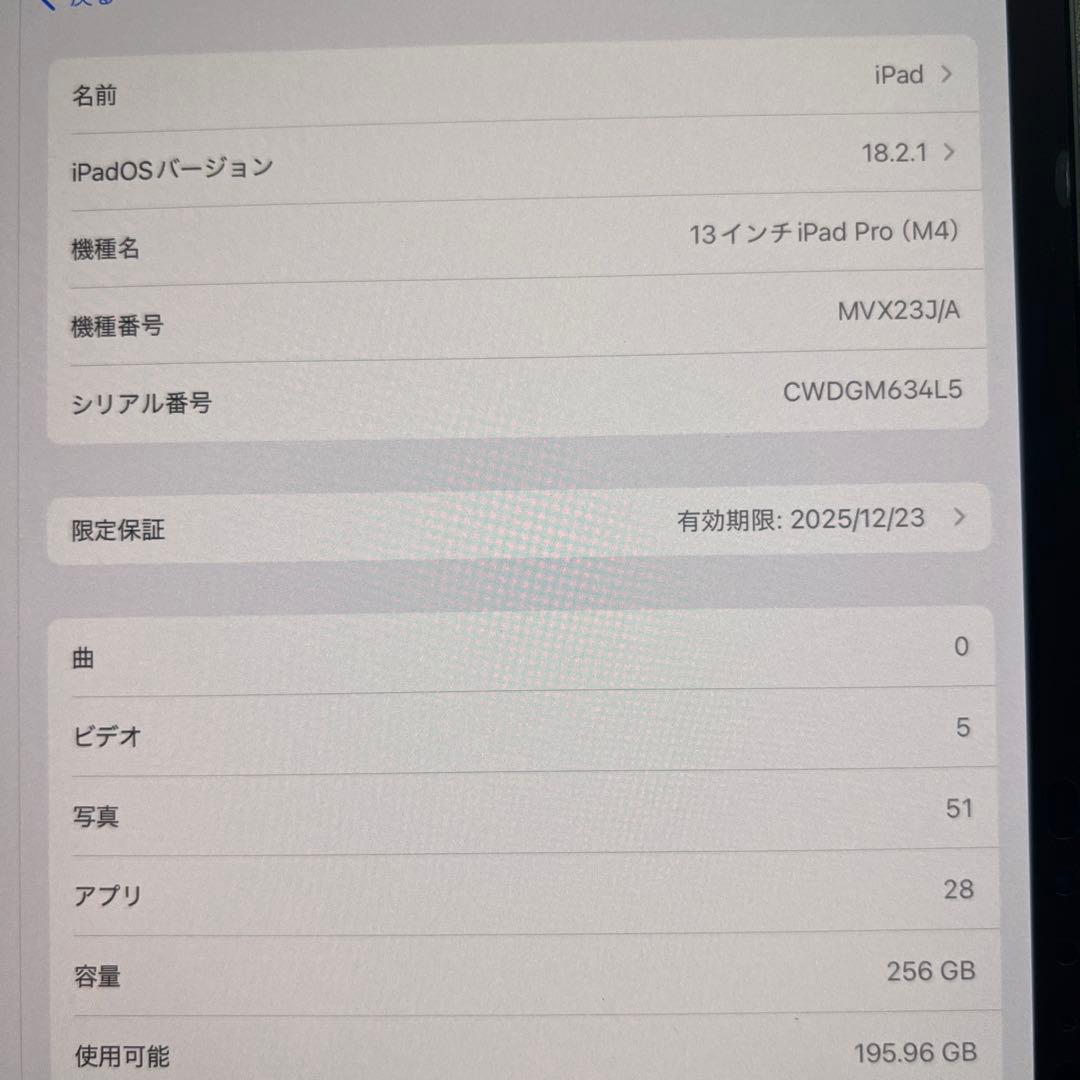 iPad Pro M4 13インチ　256GB