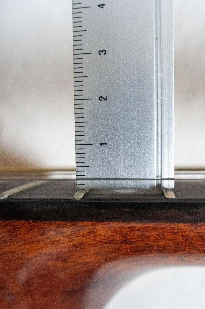 Recording King RO-G6 【美品】OOOタイプ 新品ギグバッグ