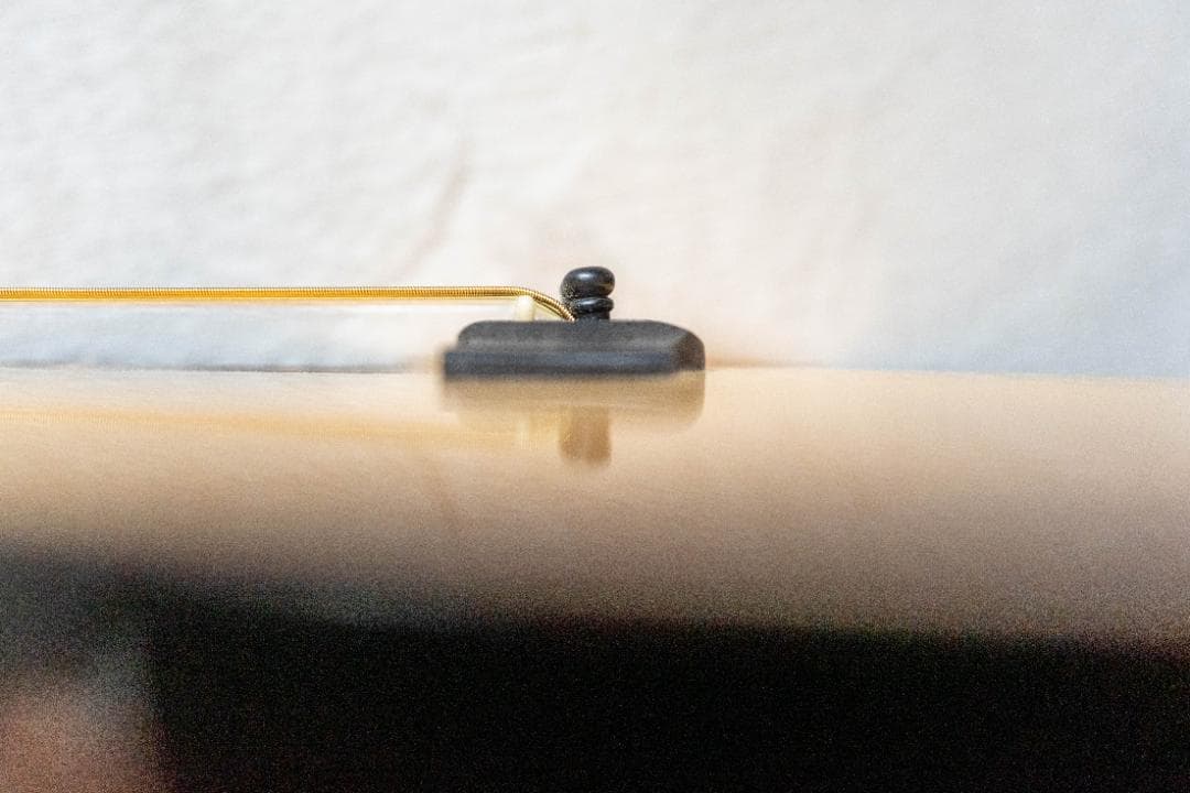 Recording King RO-G6 【美品】OOOタイプ 新品ギグバッグ