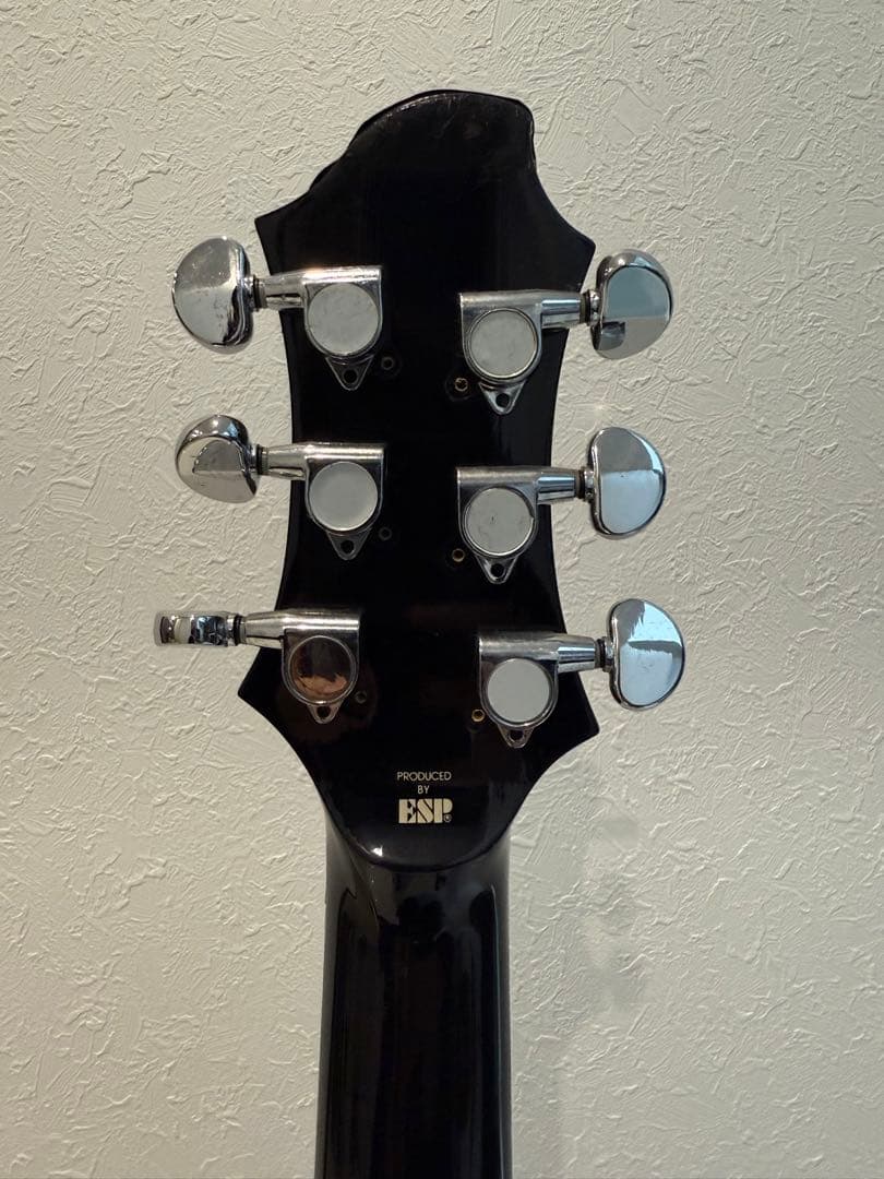 SUGIZO BRILLIANT-MIXEDMEDIA加工　EDWARDS