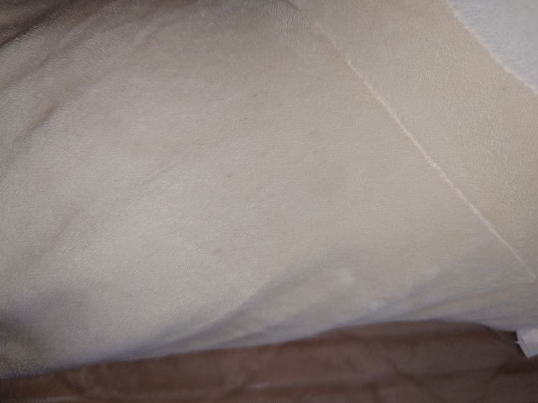 コリラックマのぬいぐるみ 約90cm