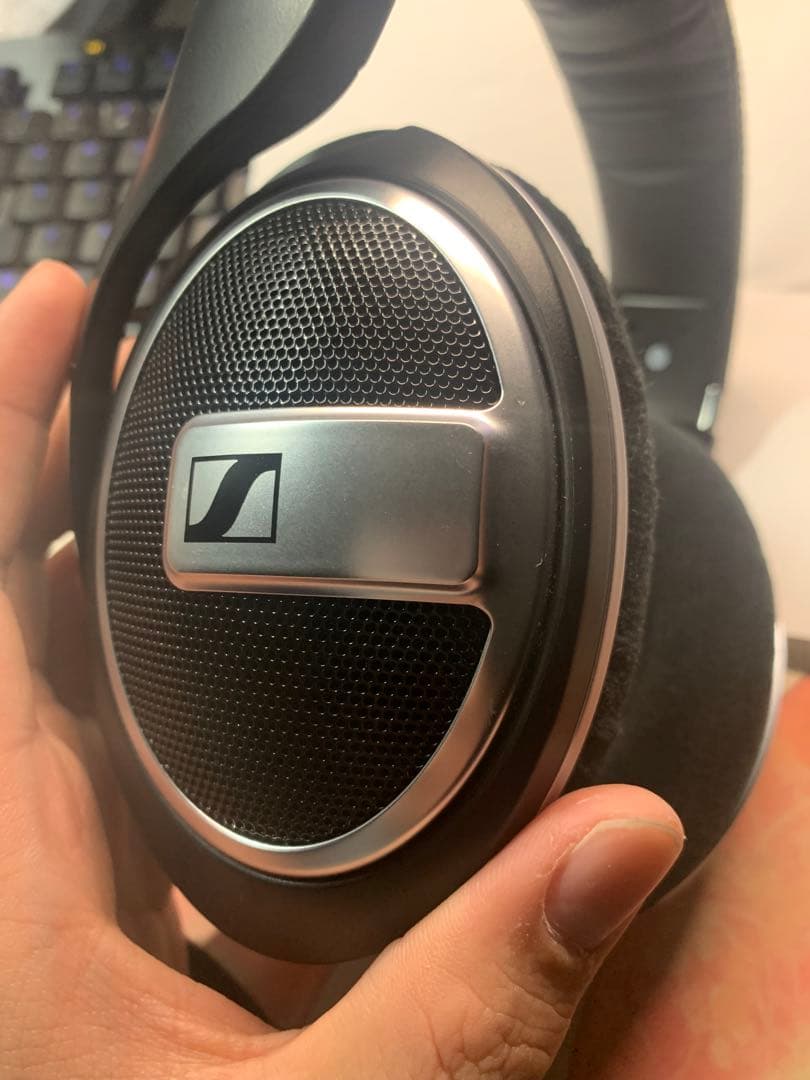 う*う様 Sennheiser HD 599SE