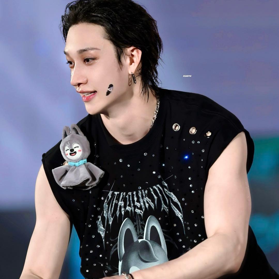 Straykids バンチャン　ウルフチャン まとめ売り　スキズ