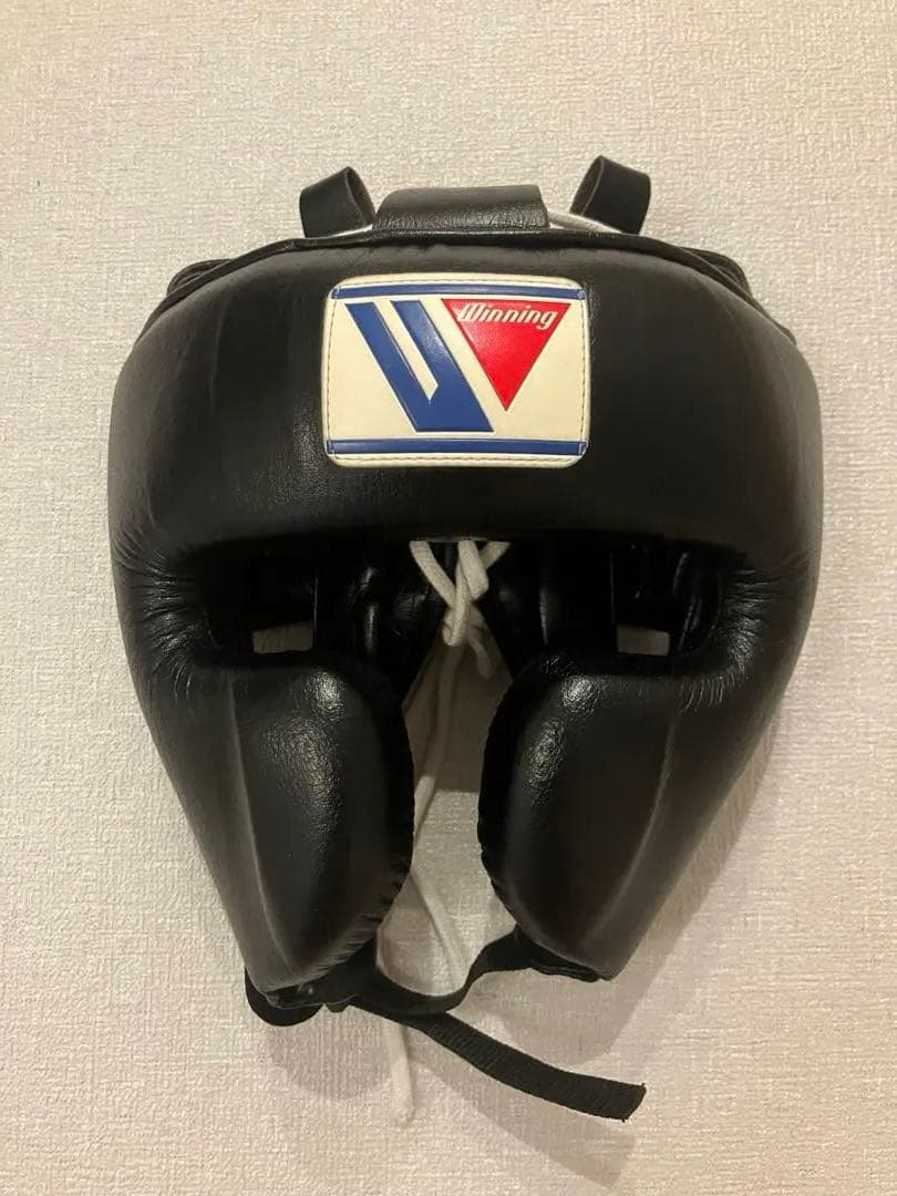 Winning ヘッドギア フルフェイスタイプ ブラック M FG-2900
