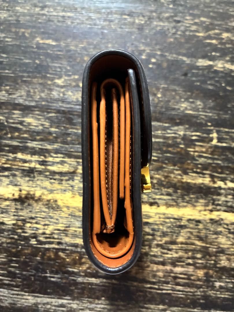 スモール フラップウォレット トリオンフ / シャイニーカーフスキン