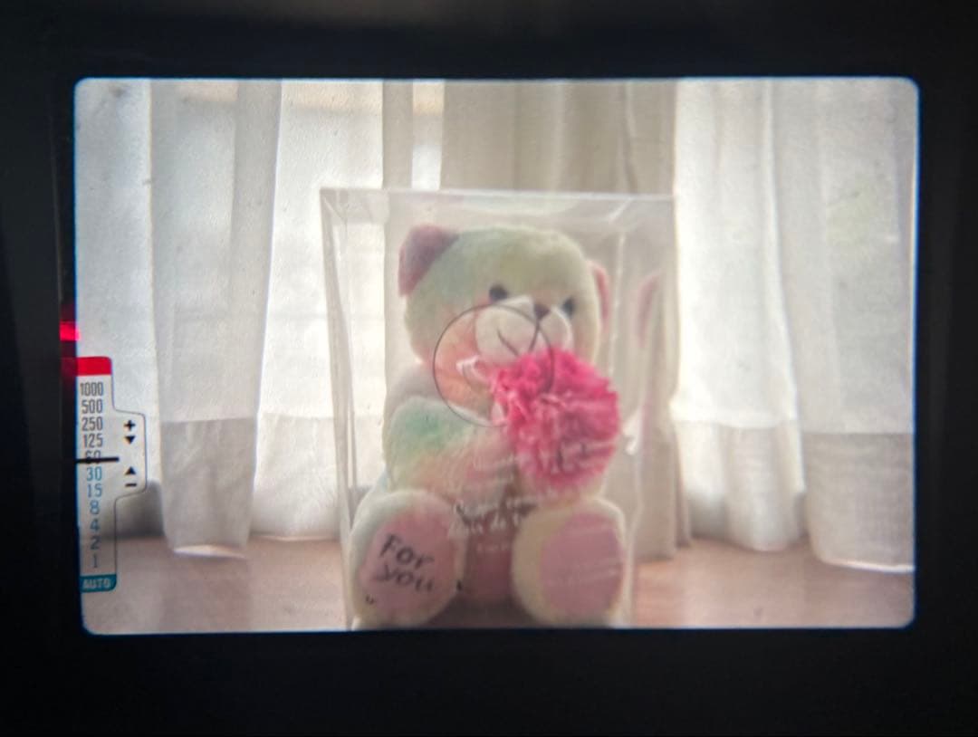 ★ OLYMPUS OM-2N + 標準レンズ 50mm