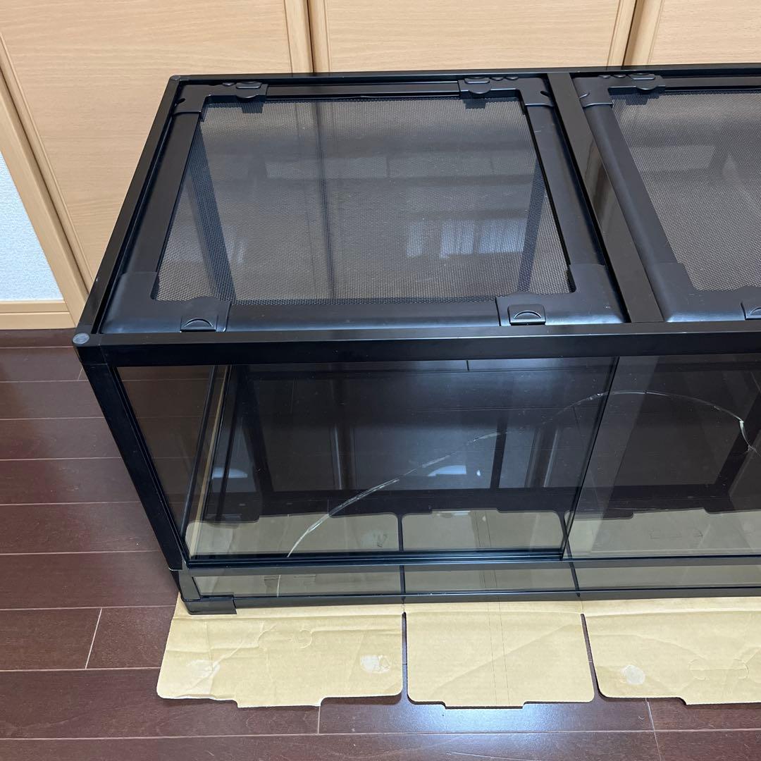 REPTI WILDパンテオン ブラック　BK9045