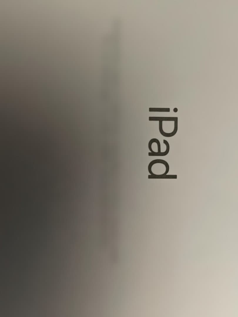 iPad本体 シルバー