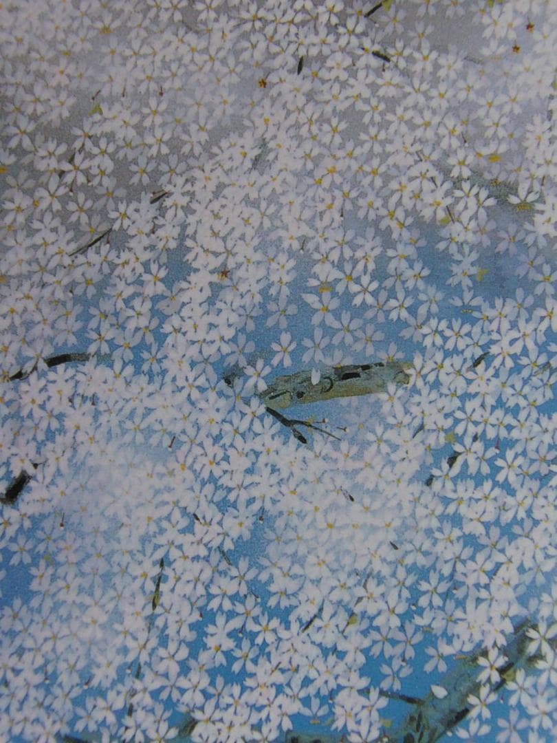 中島千波、【三春櫻花爛漫】、希少な額装用画集より、新品額装付、状態良好