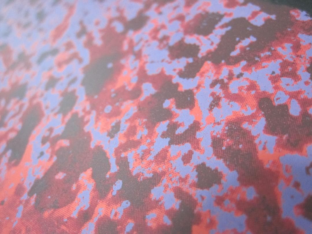 ▲山本 寛斎 さん ポートレート リトグラフ 版画 37/150 104×75