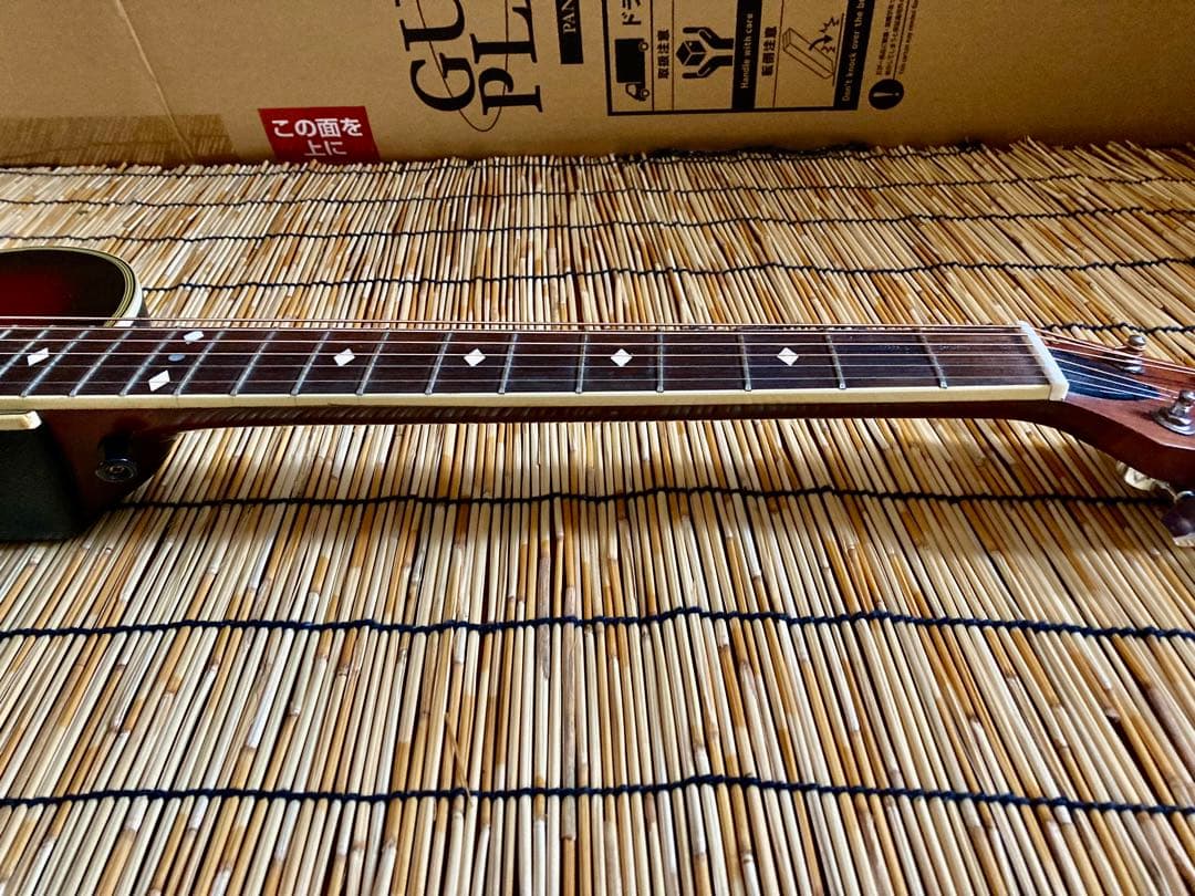 猫*様 ☆新年値下　アクティブコントローラを追加　エレアコ　Legend by