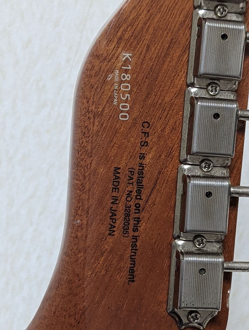 FGN フジゲン テレキャスター