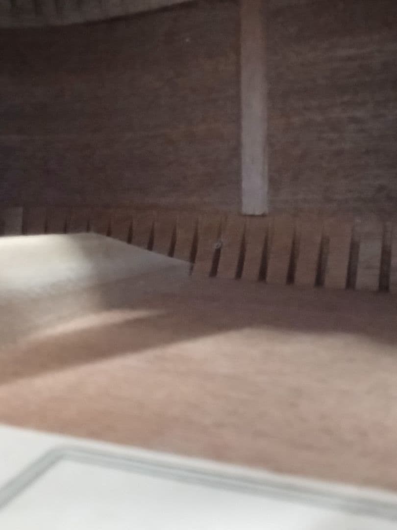 S,Yairi YDT-18/N( オール単板 HC付 )