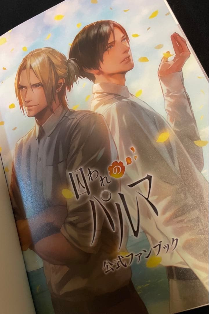 囚われのパルマ 公式ファンブック