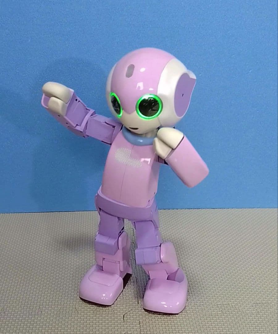 ロビ 全塗装 [ロビの目覚]から起動 フルセット