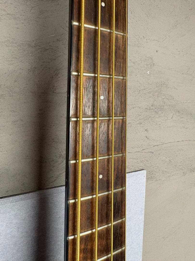 Fender CB-60SCE フェンダー アコースティックベース