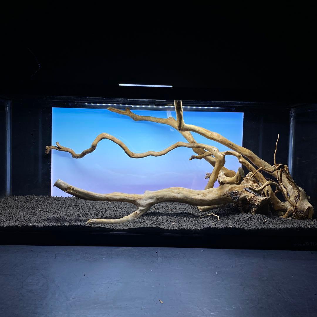 MDW-6431 ブランチウッド3本セット　90cm水槽用流木セット　枝流木