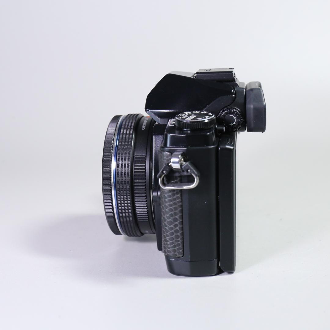 ☆特別限定モデル☆新品級 OLYMPUS OM-D E-M10 ＃355