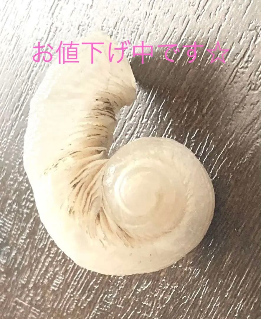 ケオン　無研磨　ミラクルケオン　天然　ご祈祷浄化済み