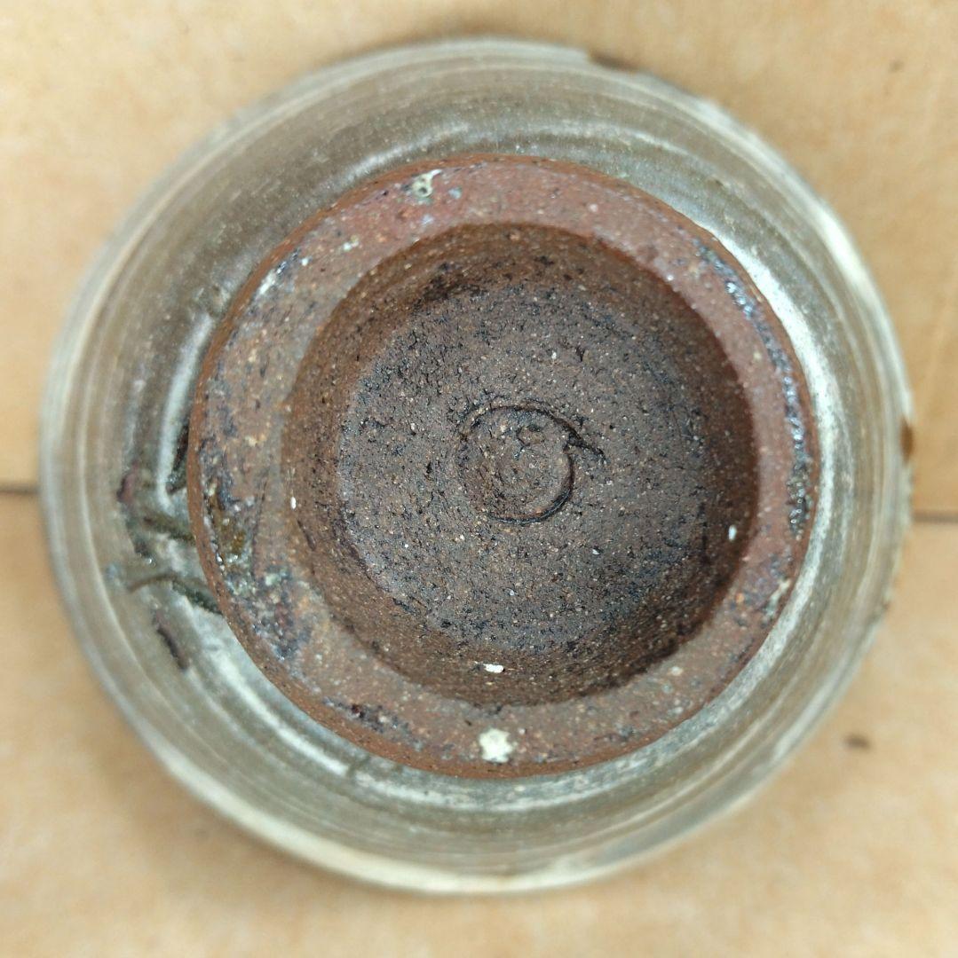 【本物保証】金城次郎 壷屋焼ぐい呑 共箱 栞 人間国宝 壺屋焼 刷毛目魚文ぐい呑