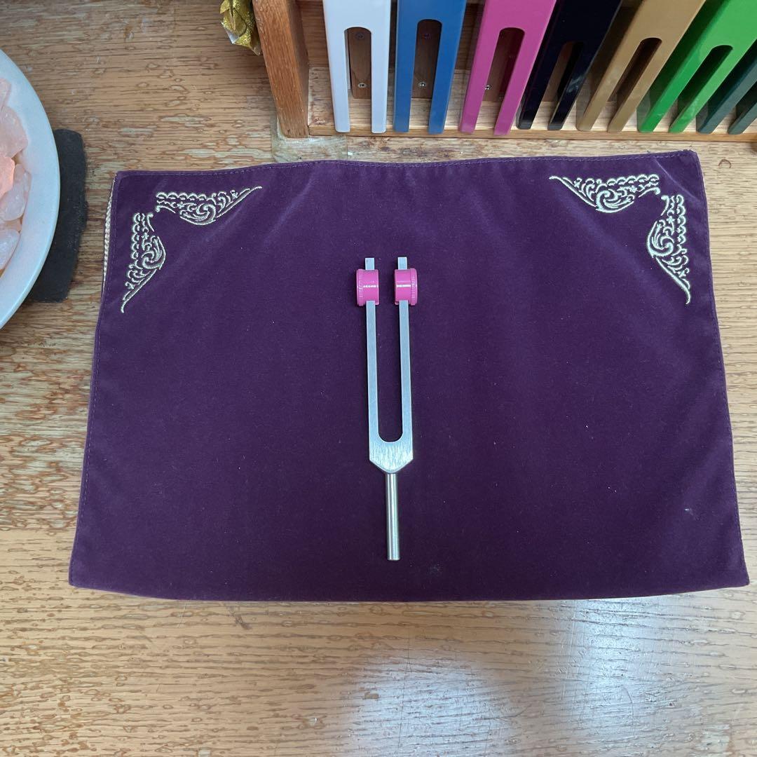 音叉　チューニングフォーク　アキュトニック製