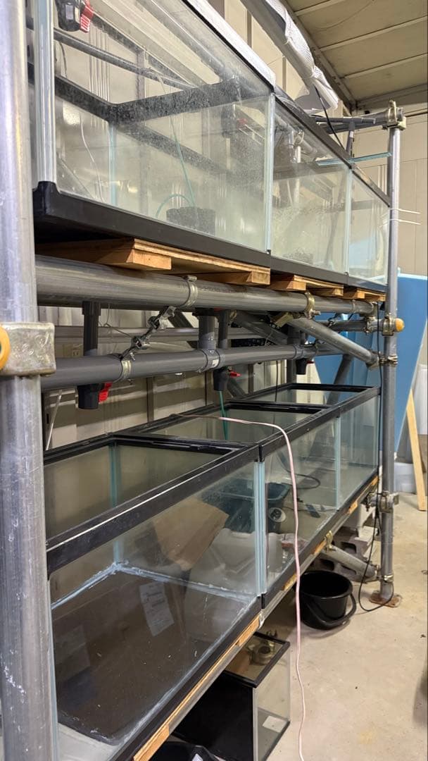 業務用オーダーメイド オーバーフロー水槽 12個セット