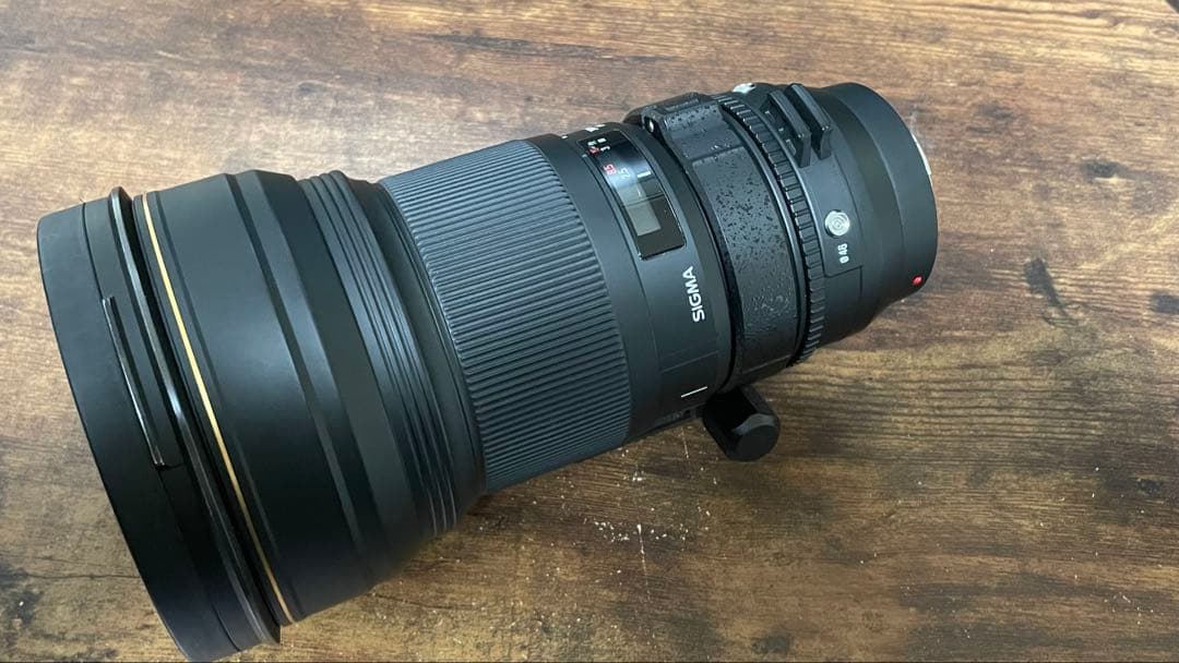 【推しが渋滞(〃ω〃)整理中】SIGMA APO 300mm F2.8