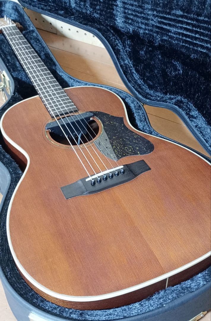 Vincent VN-30Blues HC付 Fishman後付け