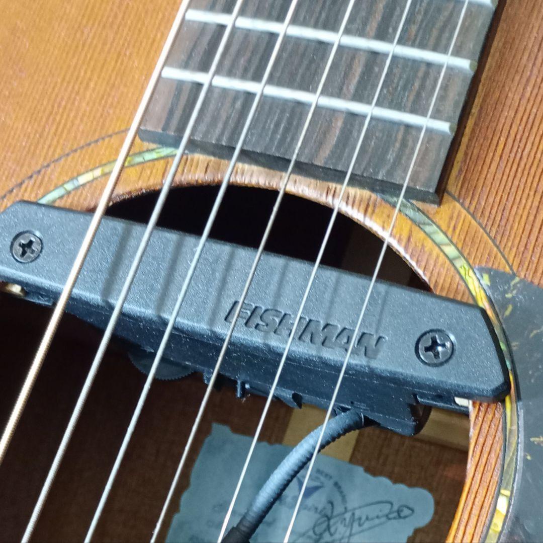 Vincent VN-30Blues HC付 Fishman後付け