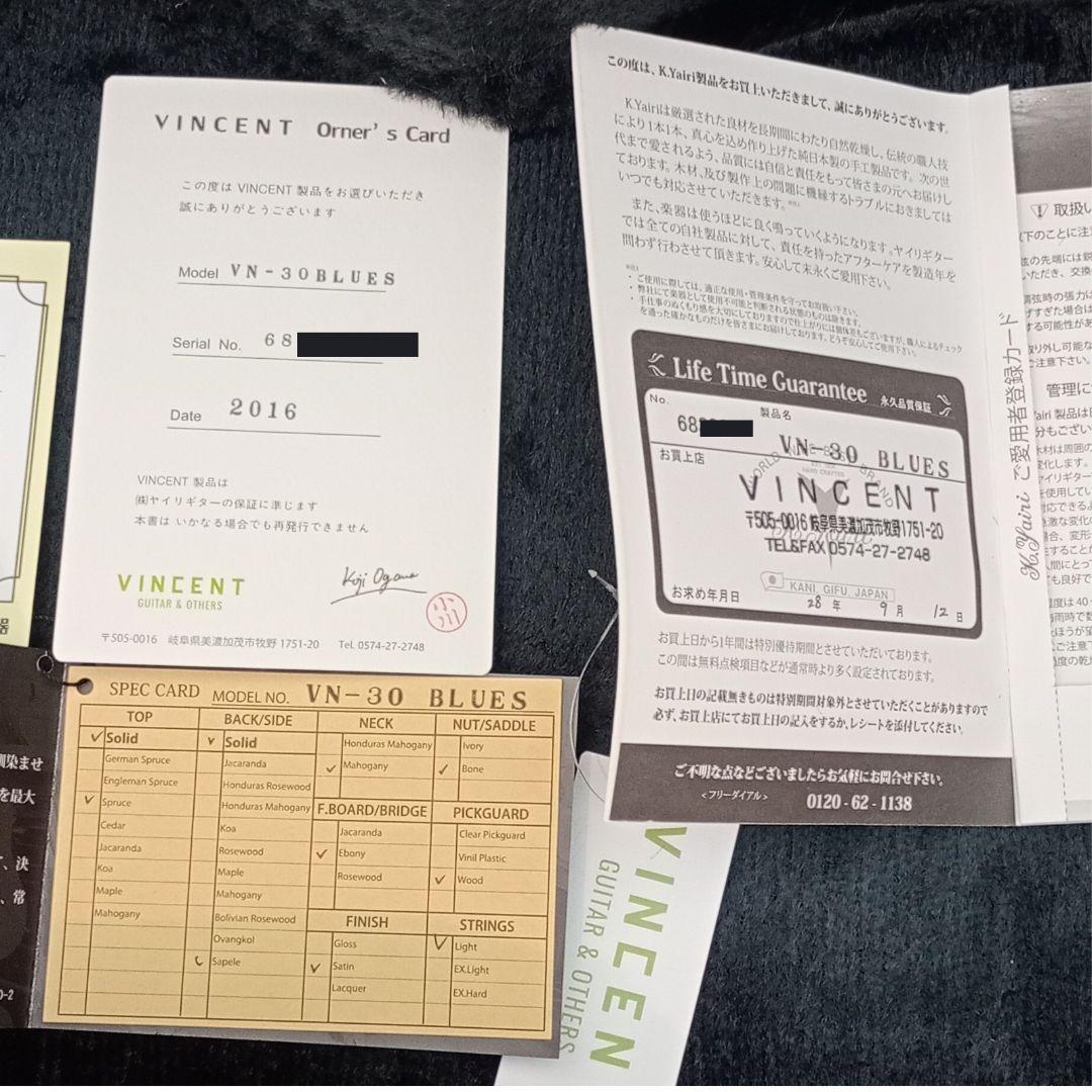 Vincent VN-30Blues HC付 Fishman後付け