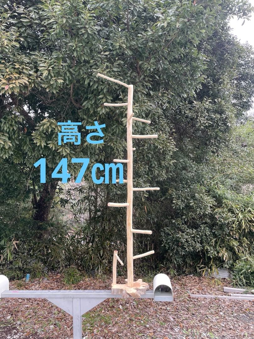 国産ヒノキ　鳥用止まり木　大型スタンド　約147センチ　中型インコ用
