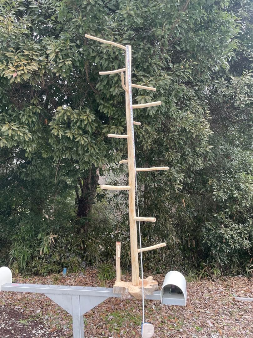 国産ヒノキ　鳥用止まり木　大型スタンド　約147センチ　中型インコ用