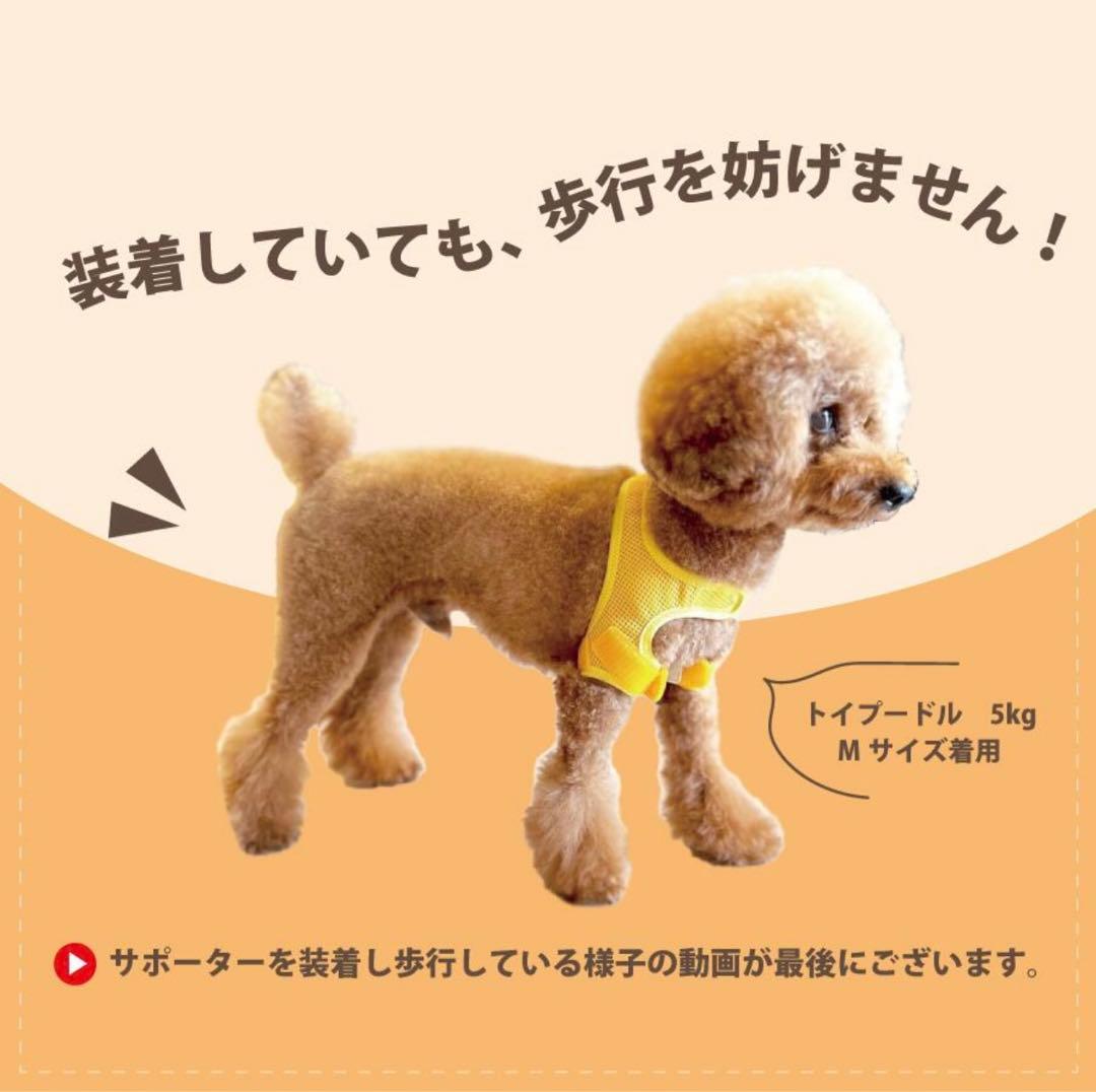 肩関節サポーター ホールドショルダー Sサイズ ピンク